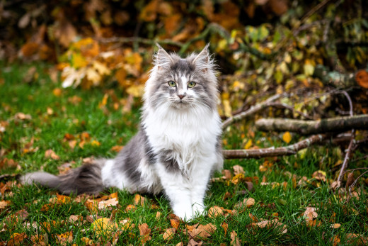 1756026 (a): :3840x2560